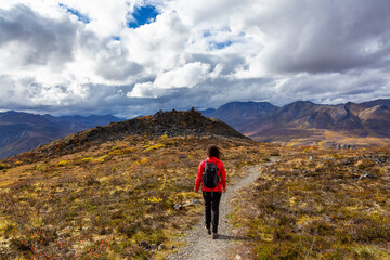 Naklejka na ściany i meble Scenic View of Woman Hiking on a Cloudy Fall Day in Canadian Nature. Taken in Tombstone Territorial Park, Yukon, Canada.