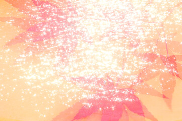 カエデの葉と水面の輝き