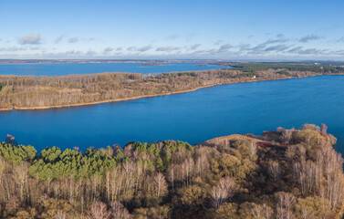 autumn forest by the lake
