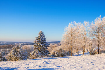 Beautiful winter landscape view with snow and frost