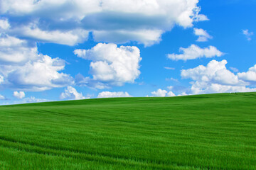 Lush, green landscape with blue sky and clouds. Spring Environment scene
