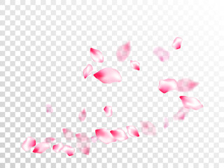 Spring tree flowers parts, airy flying petals