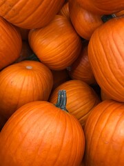Fargo North Dakota/USA, October 05, 2020, Bright Orange Pumpkins.