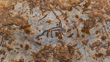ancient rock painting at Aggitis canyon in Orpheus cave