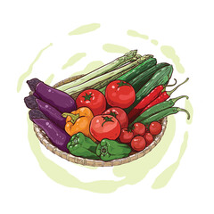 hand drawing of eggplant, chilies, cucumber and paprika