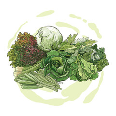 hand drawing of green vegetables
