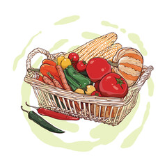 Hand drawing of sweet potatoes, potatoes, pumpkin and carrots in a wicker basket