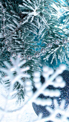 Vertical New Year's photo of snowflakes, spruce branches in the snow. Beautiful snow-covered festive scenery 2021