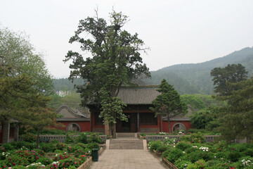 jinci monastery in taiyuan (china)