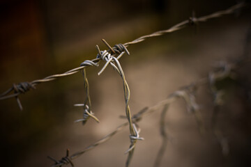 Barbed wire fence