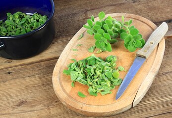 Making herbal medicene  from cut indian borage, Plectranthus amboinicus or spur plant