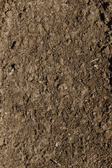 Ground texture. Top view of dark soil surface. Earth background with copyspace.