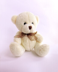 plush Teddy bear sits on white background in pink light