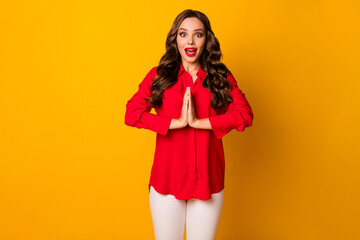 Photo of attractive funky lady hold hands together asking pleading husband boyfriend go shopping open mouth wear red office shirt white pants isolated yellow color background