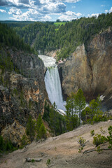 lower falls of the yellowstone national park in the grand canyon, wyoming, usa