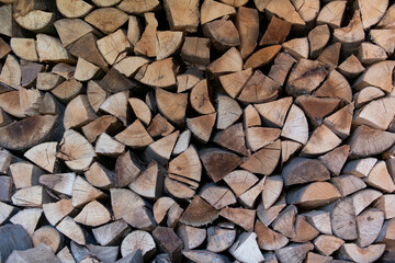 Wood tree forest fire winter hot