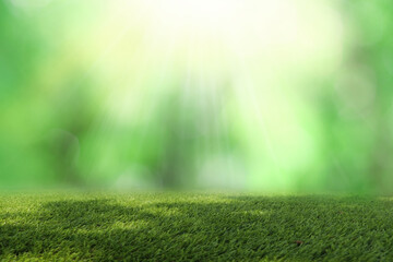 Natural green background It is a lawn with a blurred green background. Bokeh can be used as a background.