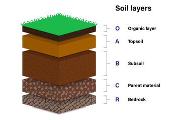 Soil layers for education, Geological study, Diagram showing different layers of soil