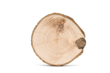 wood cross section with tree texture pattern isolated on a white background