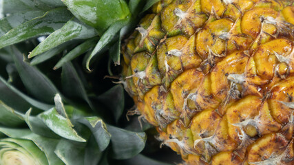 Pineapple closeup with macro shot view, more detail in the picture.