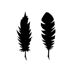 Feather of bird icon isolated on white. Vector stock illustration. EPS 10