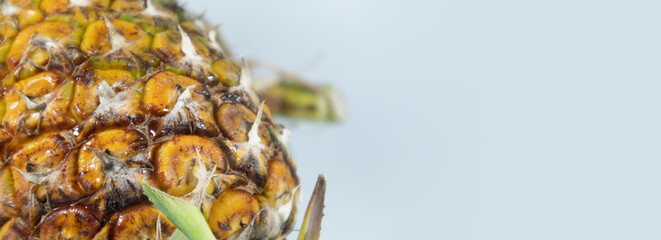 Pineapple closeup with macro shot view, more detail in the picture.