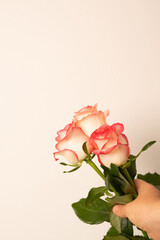 Bouquet of roses on a green background. Fresh pink roses. Blurred background. Selective focus.