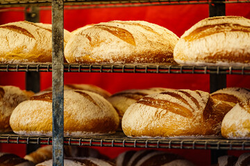 Many rustic fresh bread loaves
