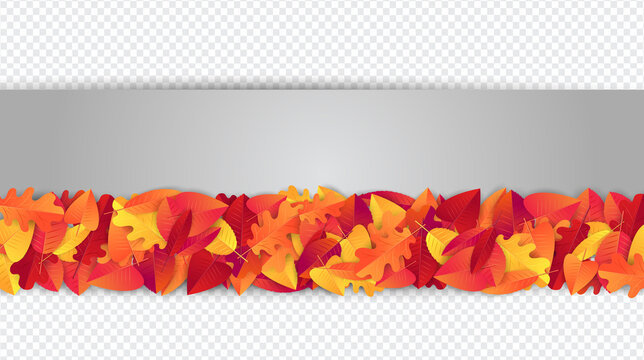 Fall or autumn banner with red and orange leaves on transparent background. Vector illustration.