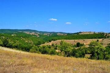 Fototapeta na wymiar Bulgaria and views from cute and small villages during bright day. Natural land with yellow grass and blue sky and cute white cloud.