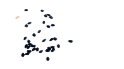 watermelon seeds isolated on the white background.