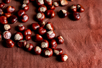 Horse chestnuts. Autumn background. Flat lay. Nature concept. Ripe chestnuts on sack napkin close up with copy space. Roasted Chestnuts for Christmas.