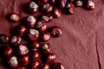 Horse chestnuts. Autumn background. Flat lay. Nature concept. Ripe chestnuts on sack napkin close up with copy space. Roasted Chestnuts for Christmas.