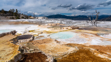 yellowstone