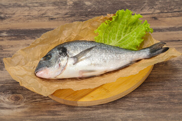 Raw Dorada fish  for cooking