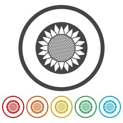 Sunflower ring icon, color set