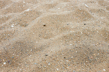 Golden beach sand. Copy space. Sand and small stones on the seashore