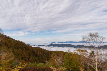紅葉と雲海