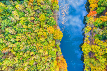 an autumn river from above