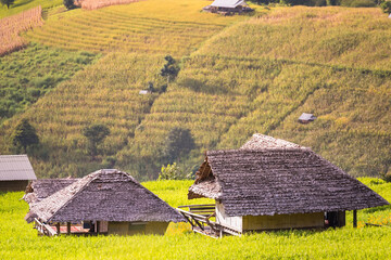 Panorama Aerial View of Pa Bong Piang terraced rice fields, Mae Chaem, Chiang Mai Thailand.