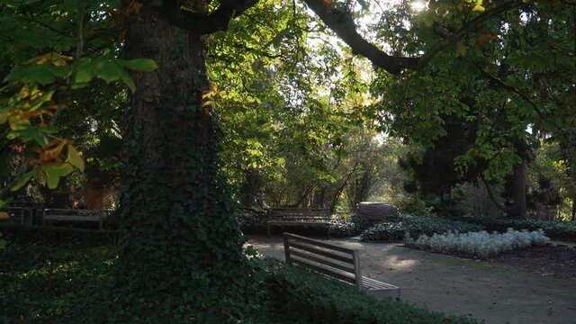 Zelazowa Wola Park, Poland, Europe, September 2020, natural park in zelazowa wola. The birthplace of Frederic Chopin composer.