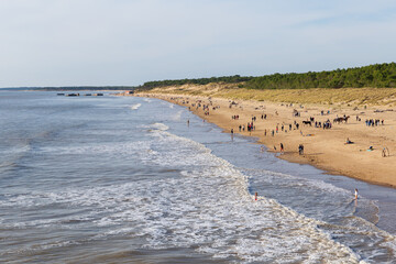 balade a la grande cote en Charente maritime 