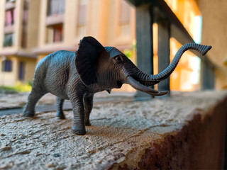 elephant toy