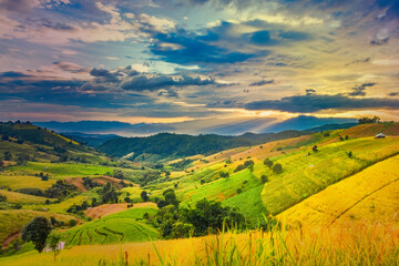 Panorama Aerial View of Pa Bong Piang terraced rice fields at sun set time, Mae Chaem, Chiang Mai Thailand.