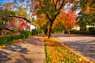 A town street with red wooden house. Autumn landscape. Fallen leaves on a road. City street with trees in autumn season. Bright colorful view of fall foliage in town. Tree lined road with houses.