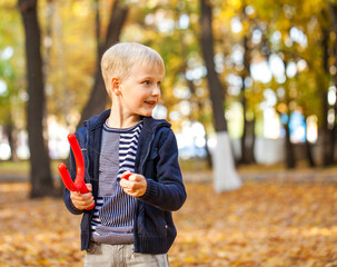 Blonde little boy in autumn park