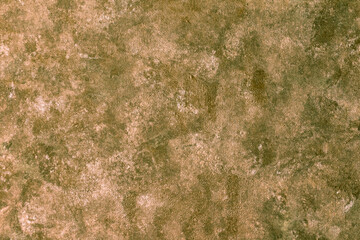 
The background of paint is dark green, marsh color on canvas.