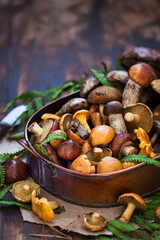 Fresh uncooked wild mushrooms on rustic wooden  background, copy space
