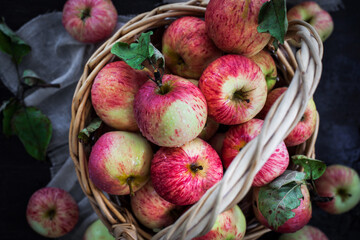 Fresh ripe autumn red apples in basket on rustic background