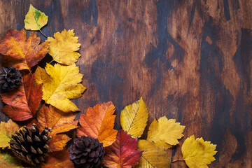 Fallen leaves on wooden background, top view, copy space